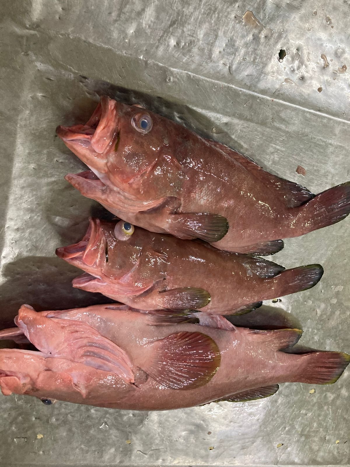 img 20260504 wa0084