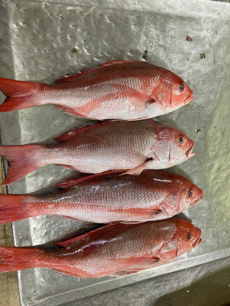 img 20260504 wa0086