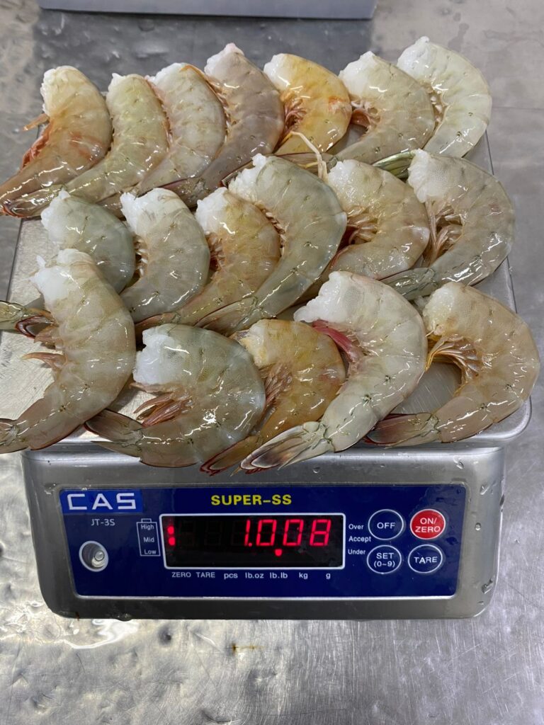 img 20260504 wa0172